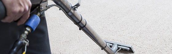 Residential Carpet Cleaning San Francisco: Bay Area Carpet Master